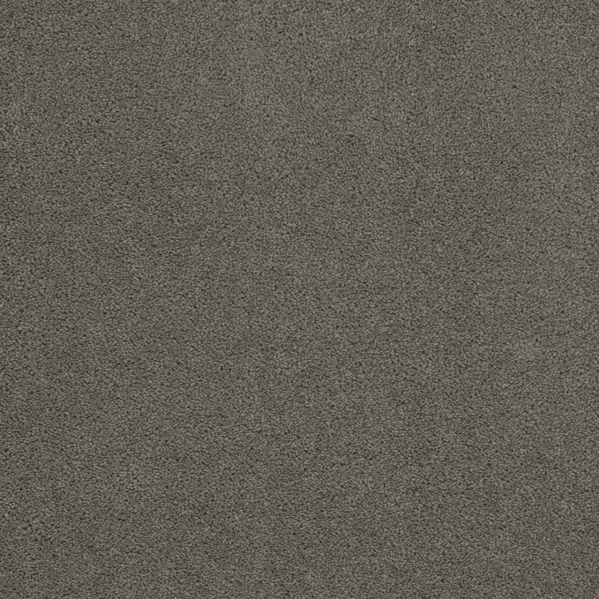 DreamWeaver SP250 Bayside carpet color detail
