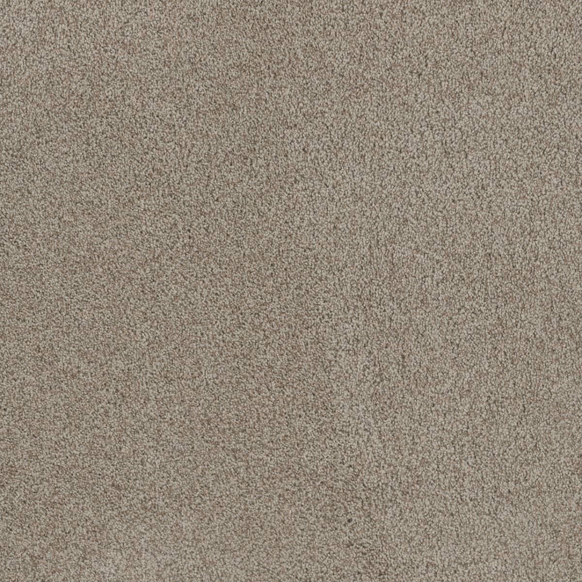 DreamWeaver Stunning — Stucco carpet swatch