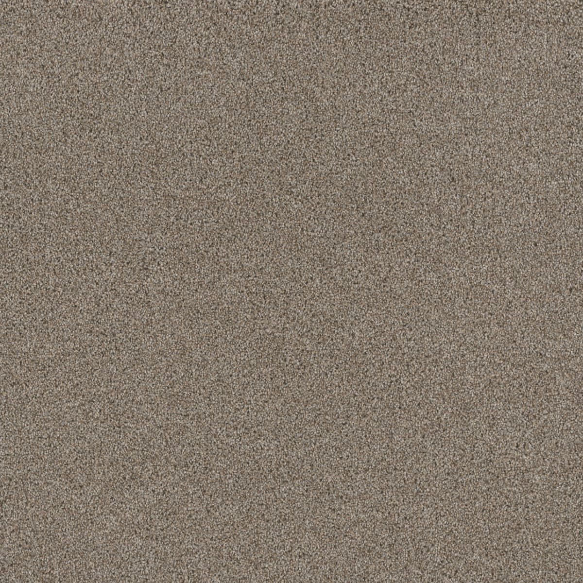 DreamWeaver Stunning — Iron Frost carpet swatch