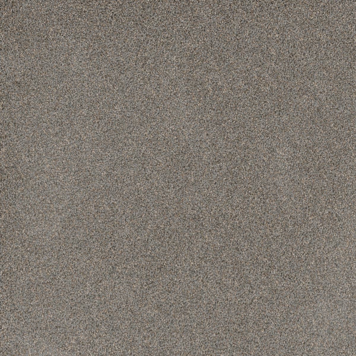 DreamWeaver Stunning — Shadows carpet swatch