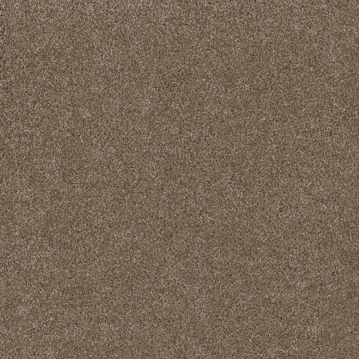 DreamWeaver Stunning — Acorn carpet swatch