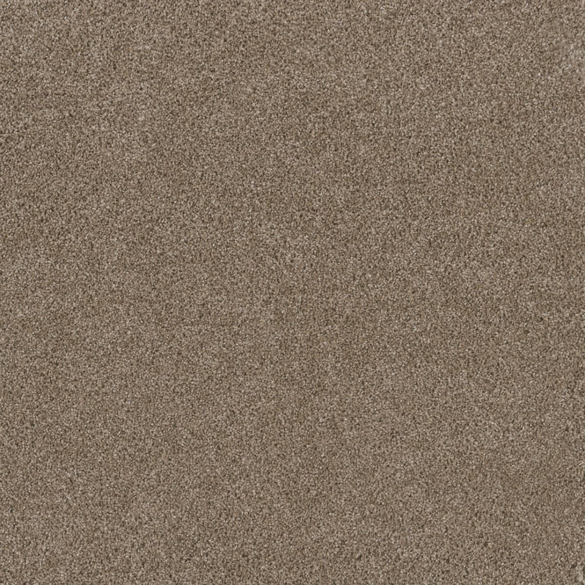DreamWeaver Stunning — Tumberweed carpet swatch