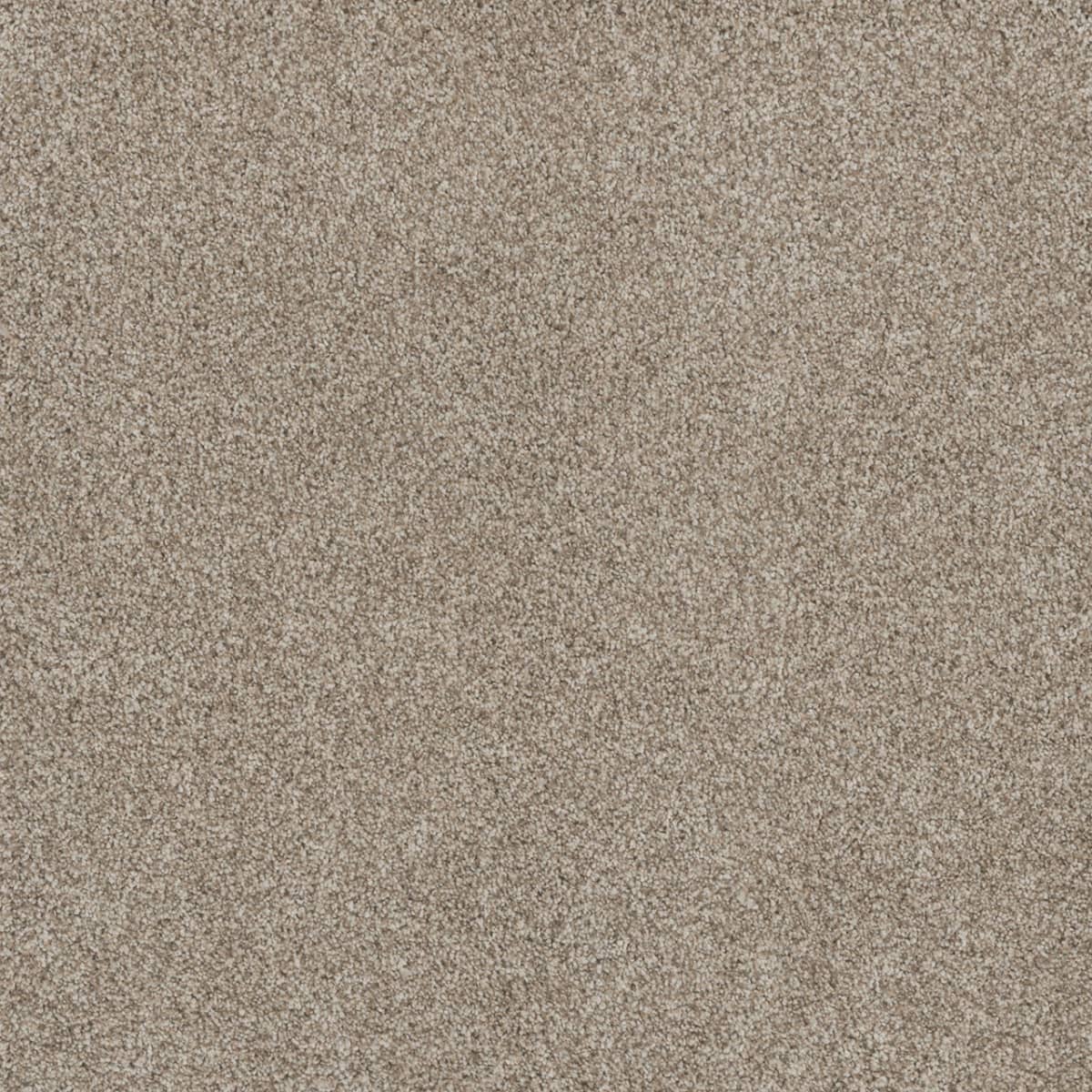 DreamWeaver Stunning — Seashells carpet swatch