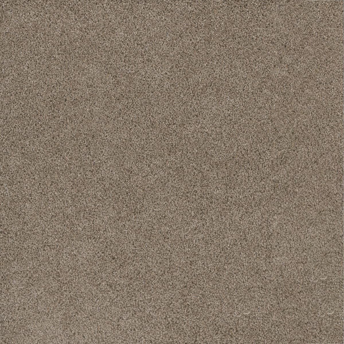 DreamWeaver Stunning — Mocha carpet swatch