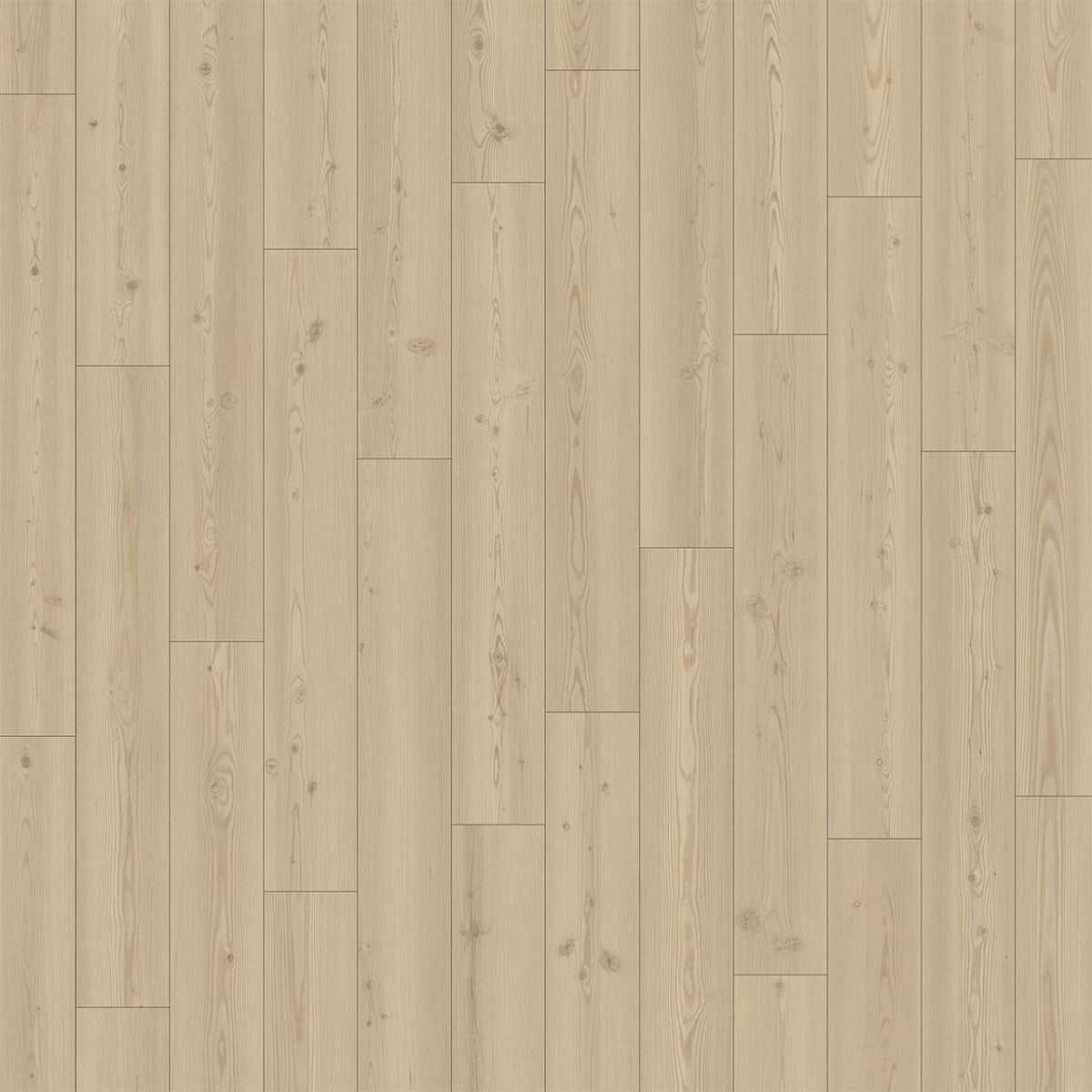 Divine — Glimmer LVP plank color