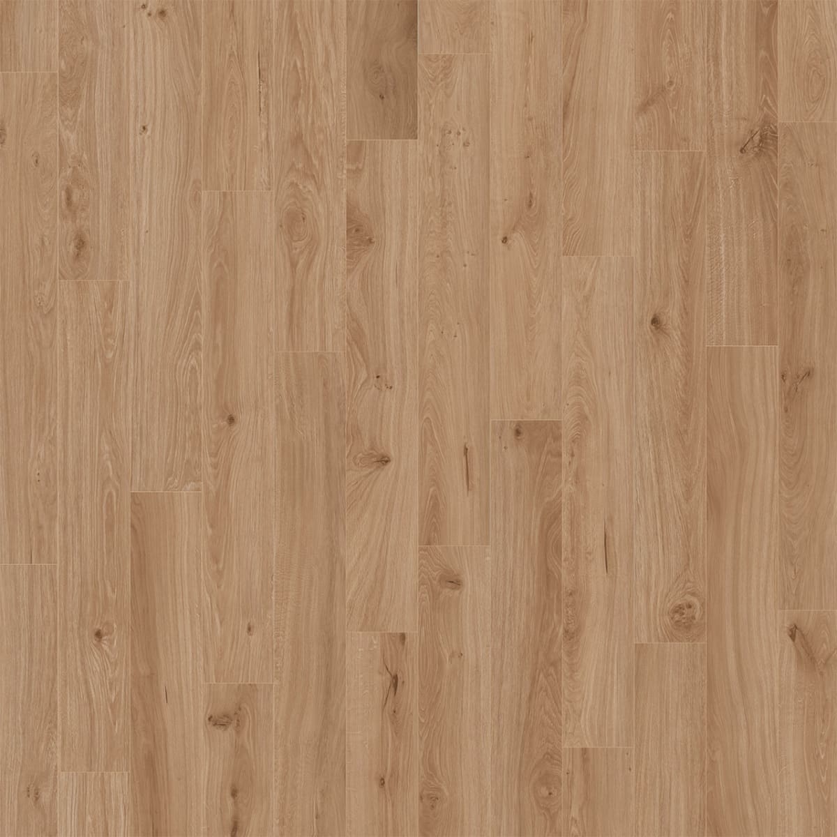 Divine — Tupelo LVP plank color