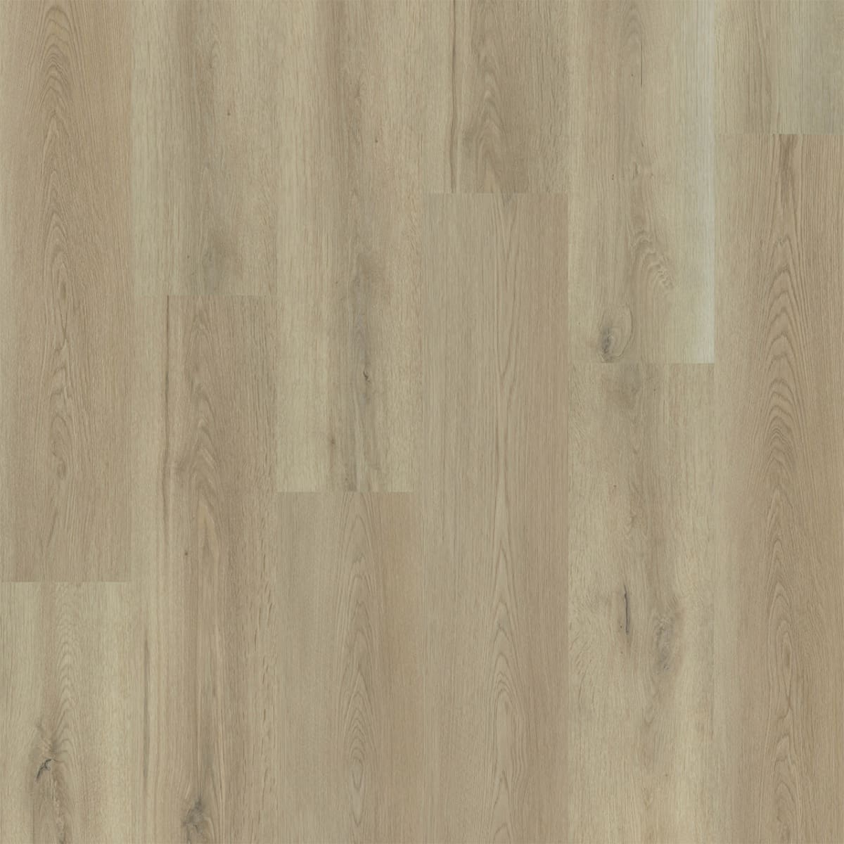 Elevate — Tawny swatch