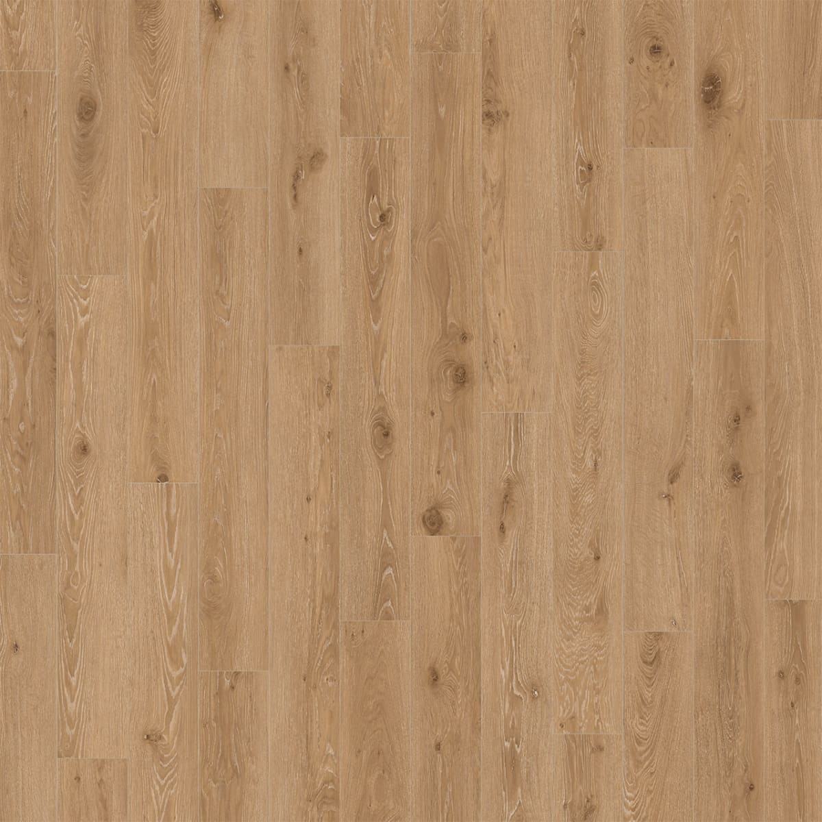 Divine — Carmine LVP plank color