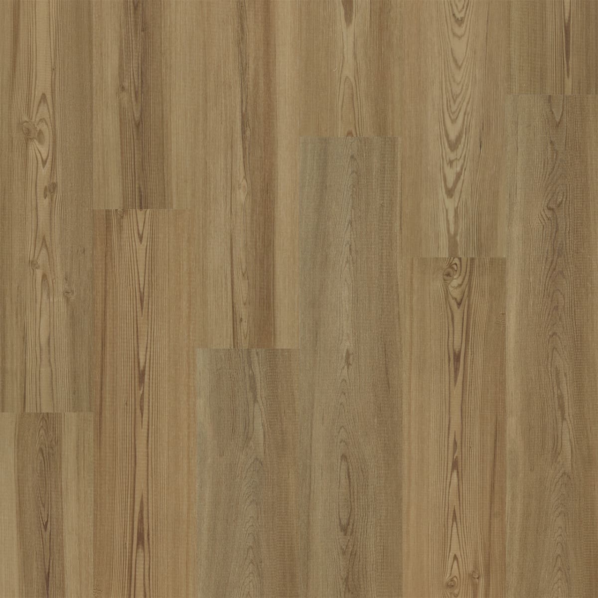 Elevate — Pinecrest LVP plank color