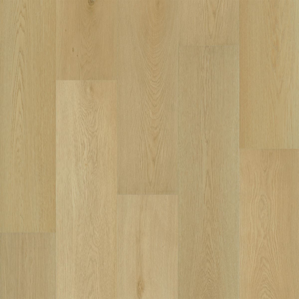 Preference — Macadamia swatch