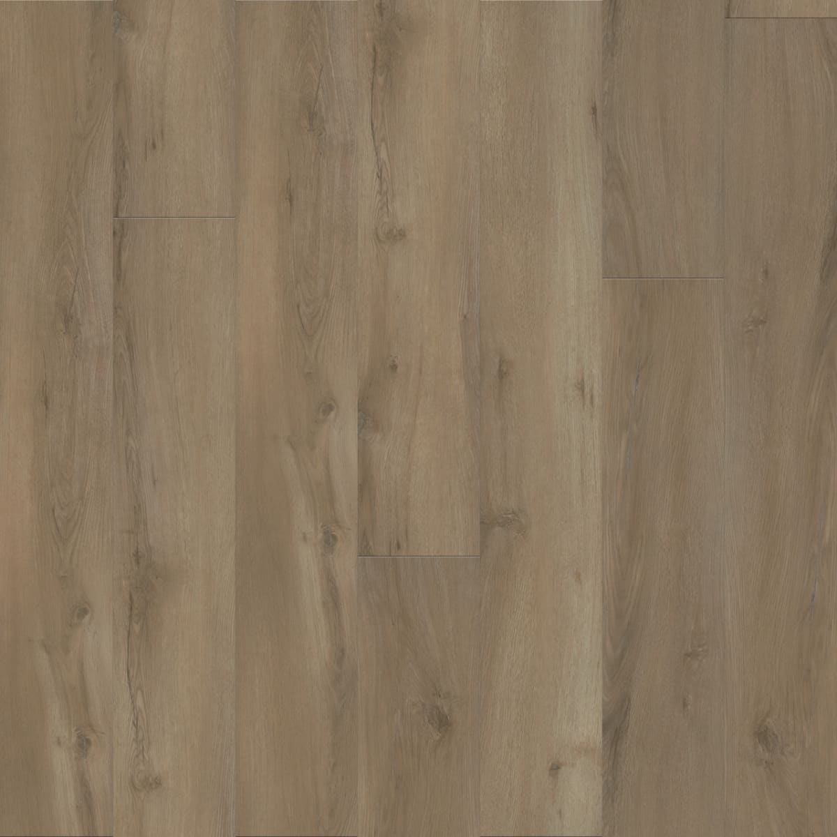 Timeless Beauty — Gentry LVP plank color