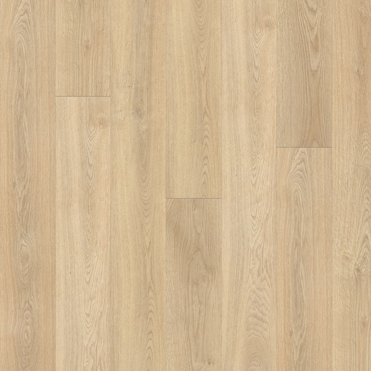 Timeless Beauty — Thorndale LVP plank color