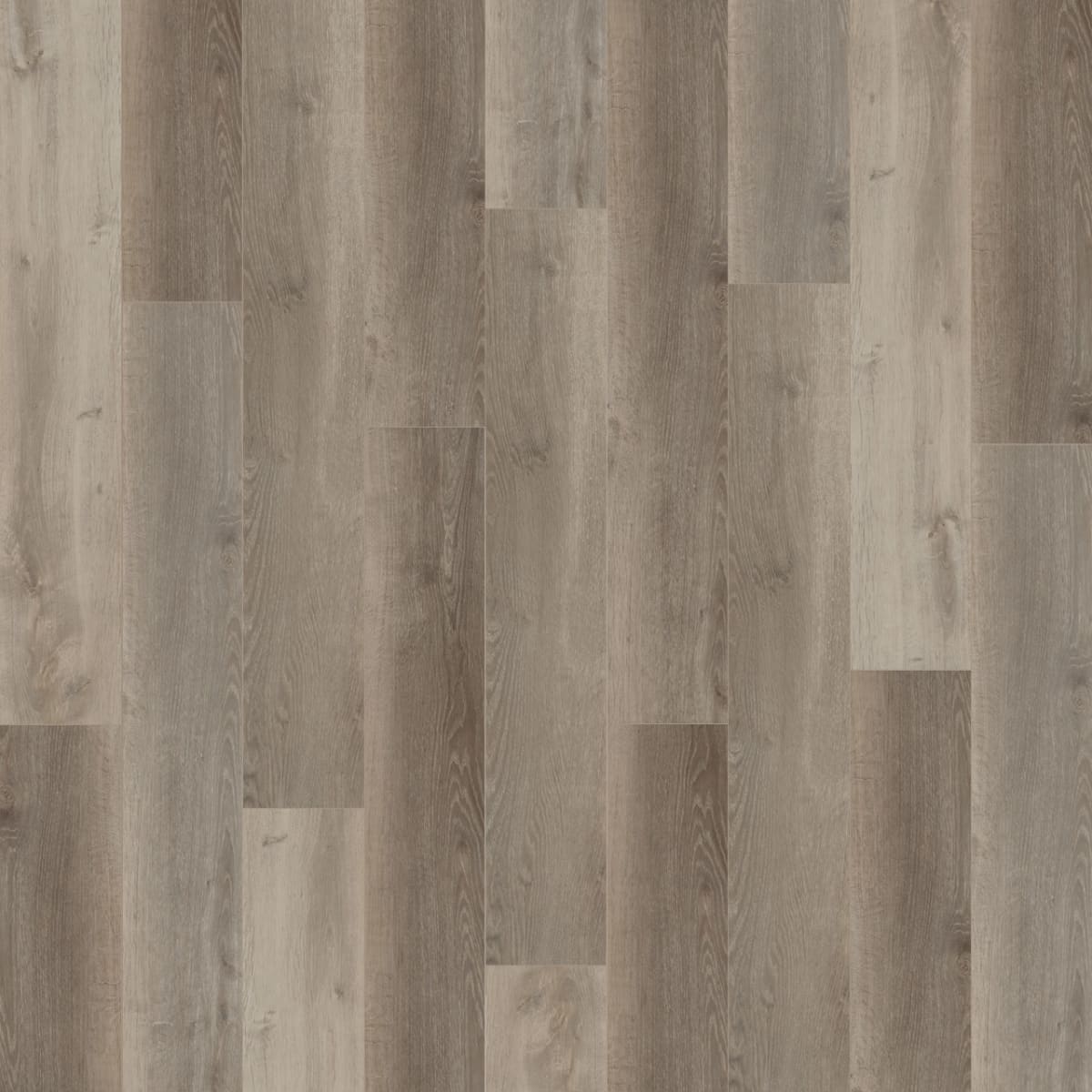 New Standard Plus — Santa Maria LVP plank color