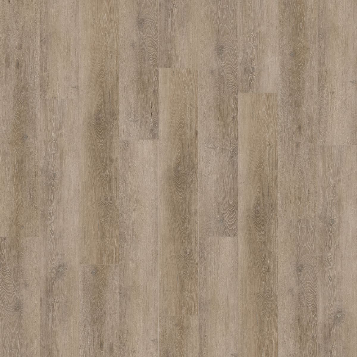 New Standard Plus — Druidstone swatch