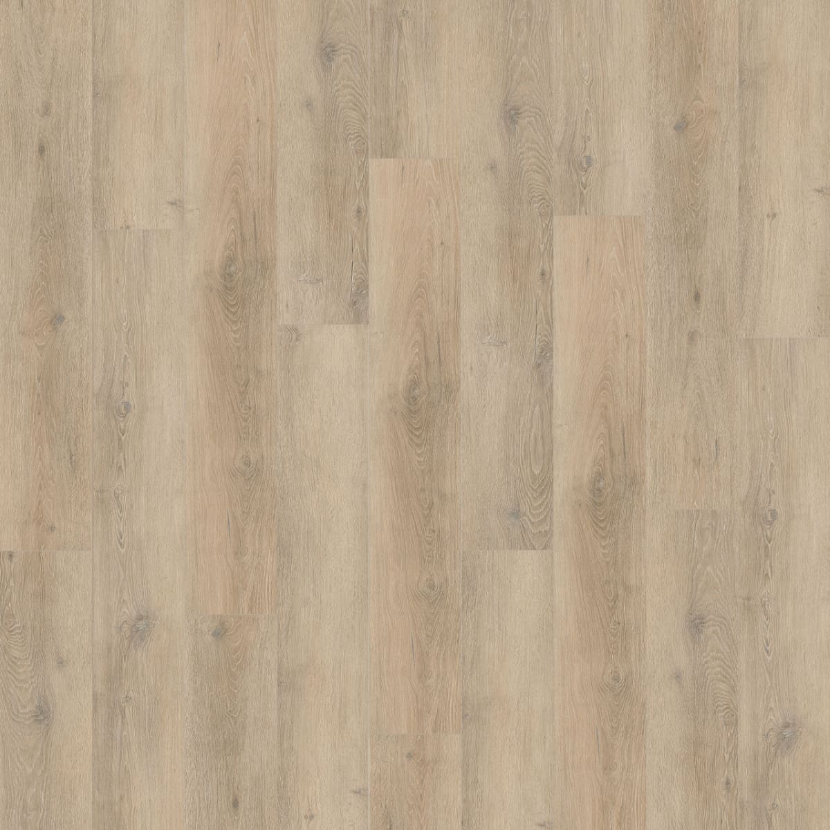New Standard Plus — Clearwater swatch
