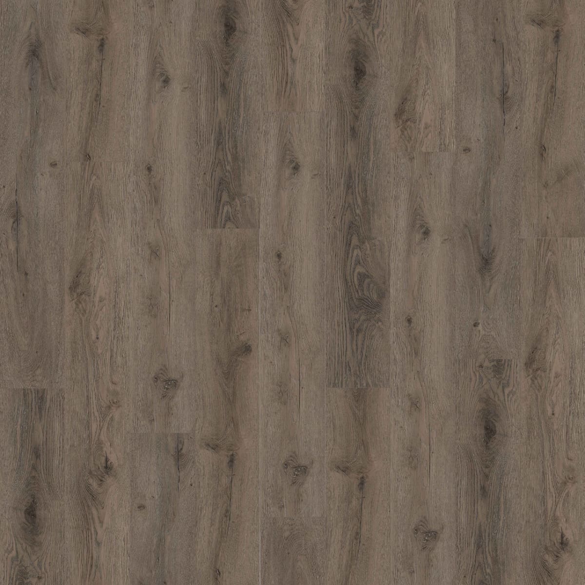 New Standard Plus — Secret Lagoon LVP plank color