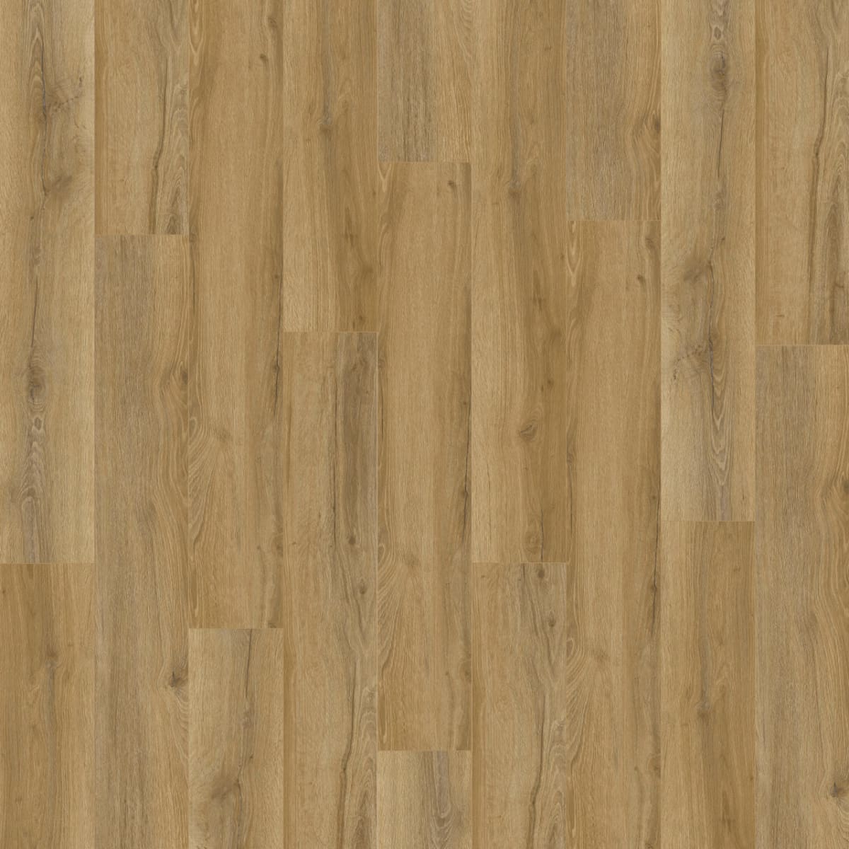 New Standard Plus — Kyoto LVP plank color