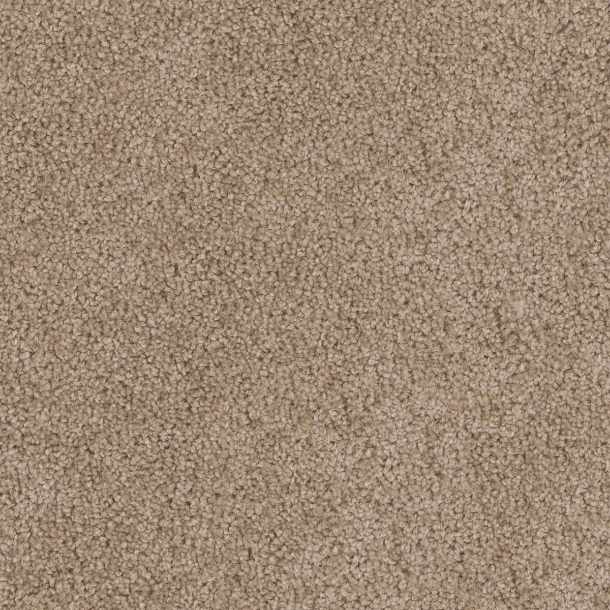 DreamWeaver Cedar Creek — Honey Beige carpet swatch
