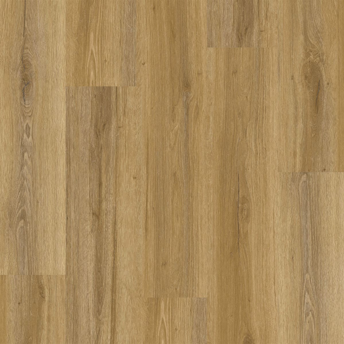 Legendary — Prodigy LVP plank color