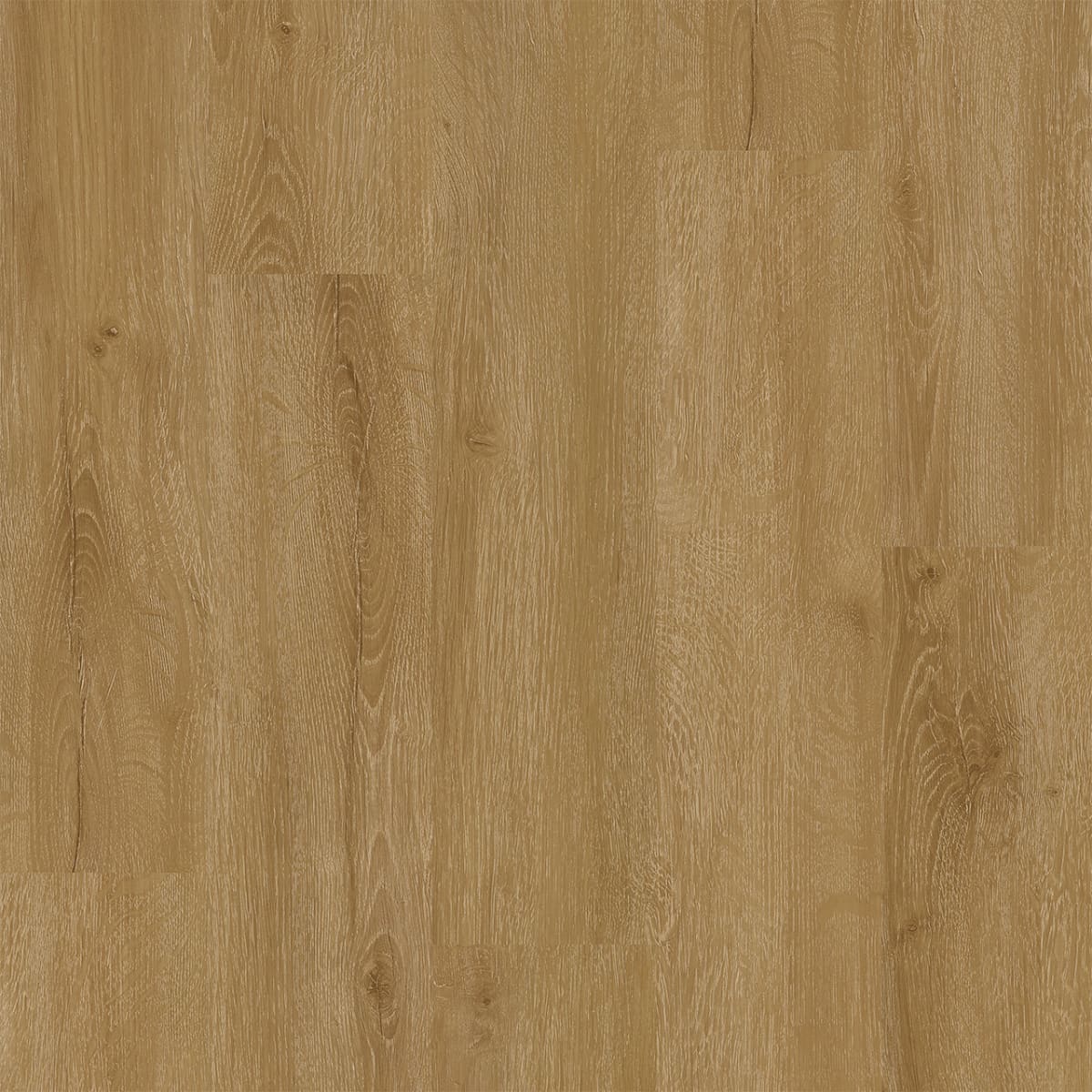 Legendary — Visionary LVP plank color