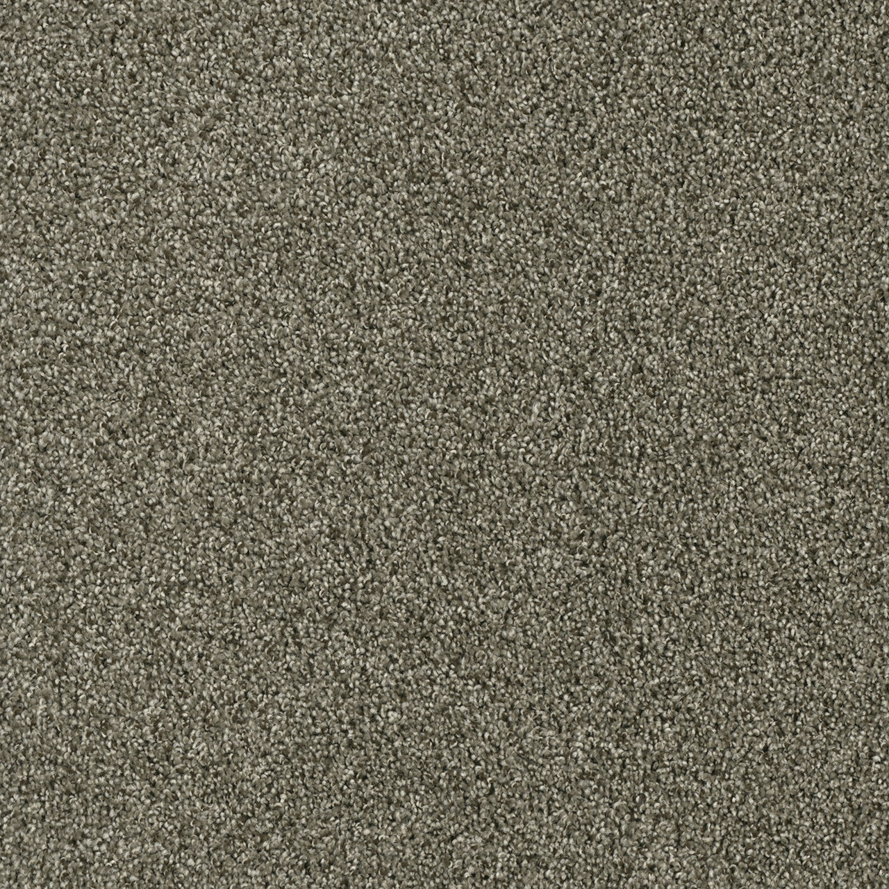 Acclaim | DreamWeaver Carpet Flooring | Engineered Floors