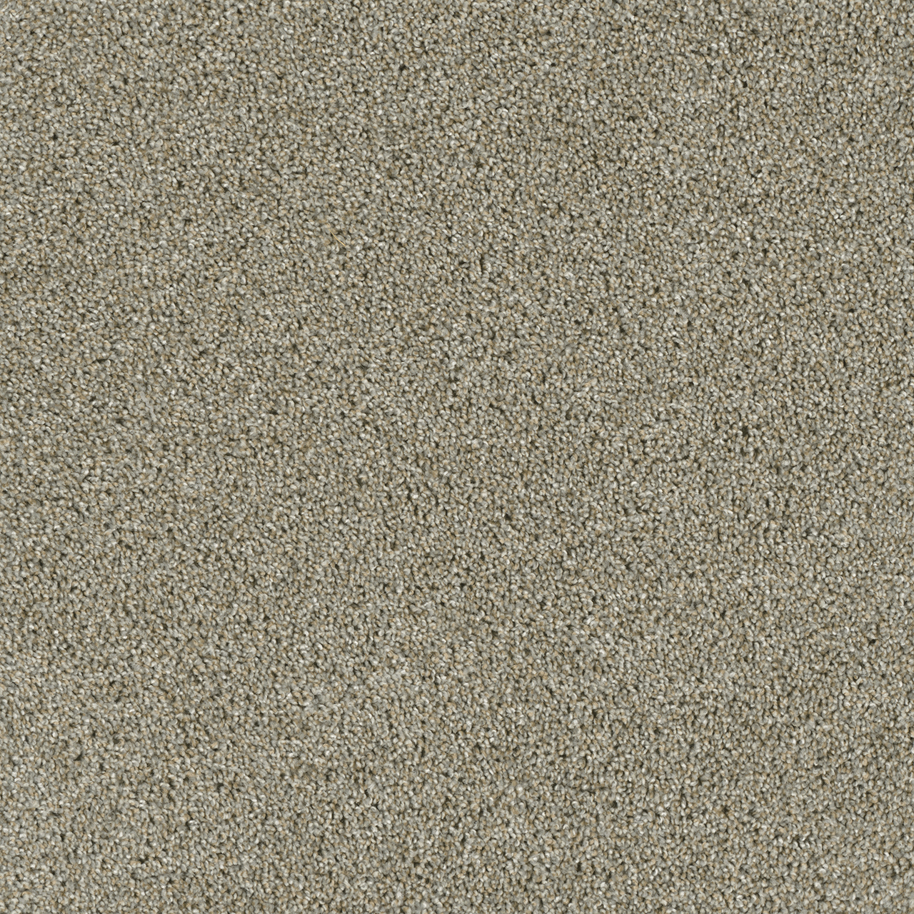 ACCLAIM in Rhinestone by Engineered Floors