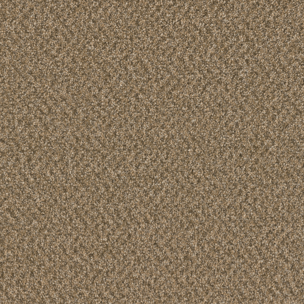 BROADCAST PLUS — Aged Leather