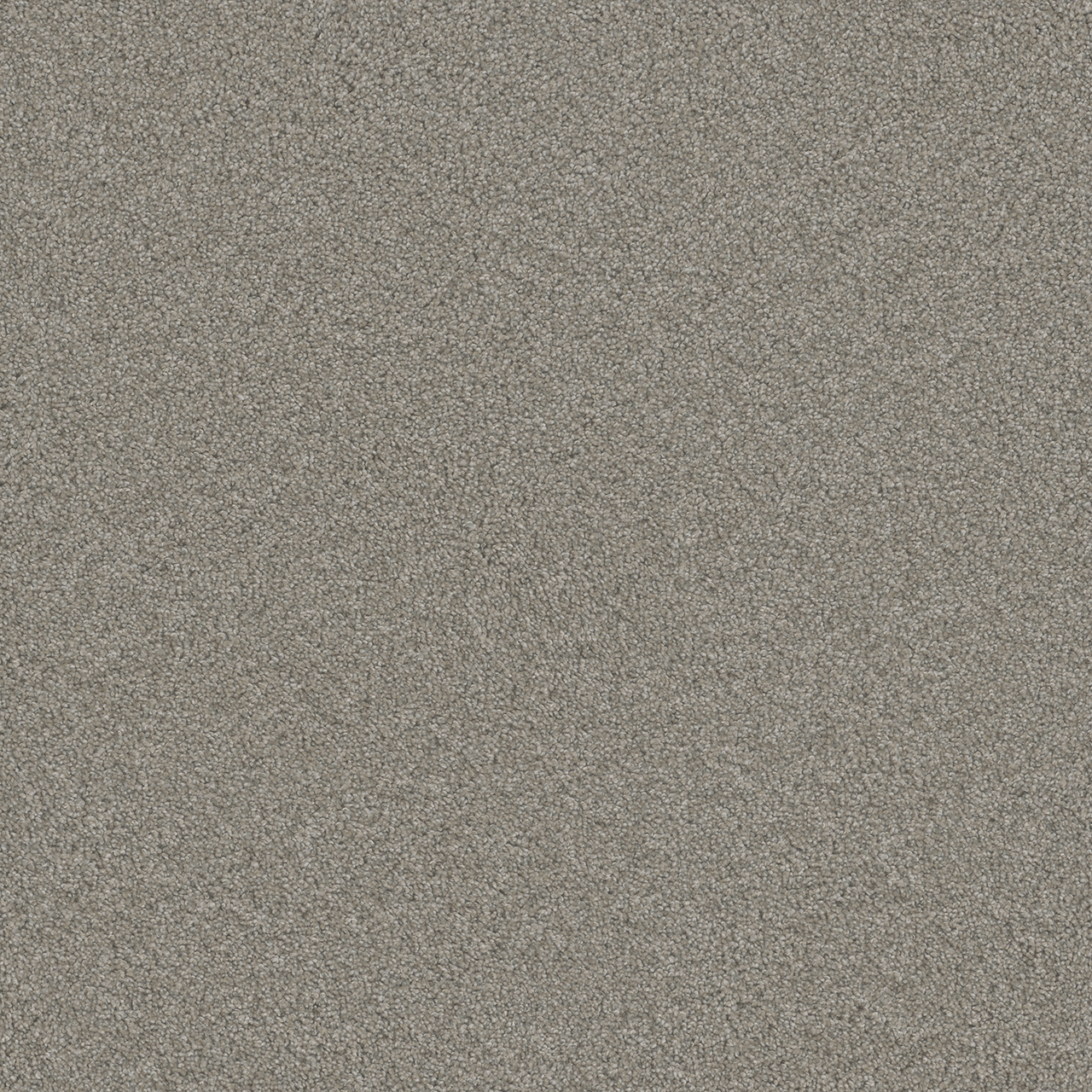 BLAZER I — Antique Fresco