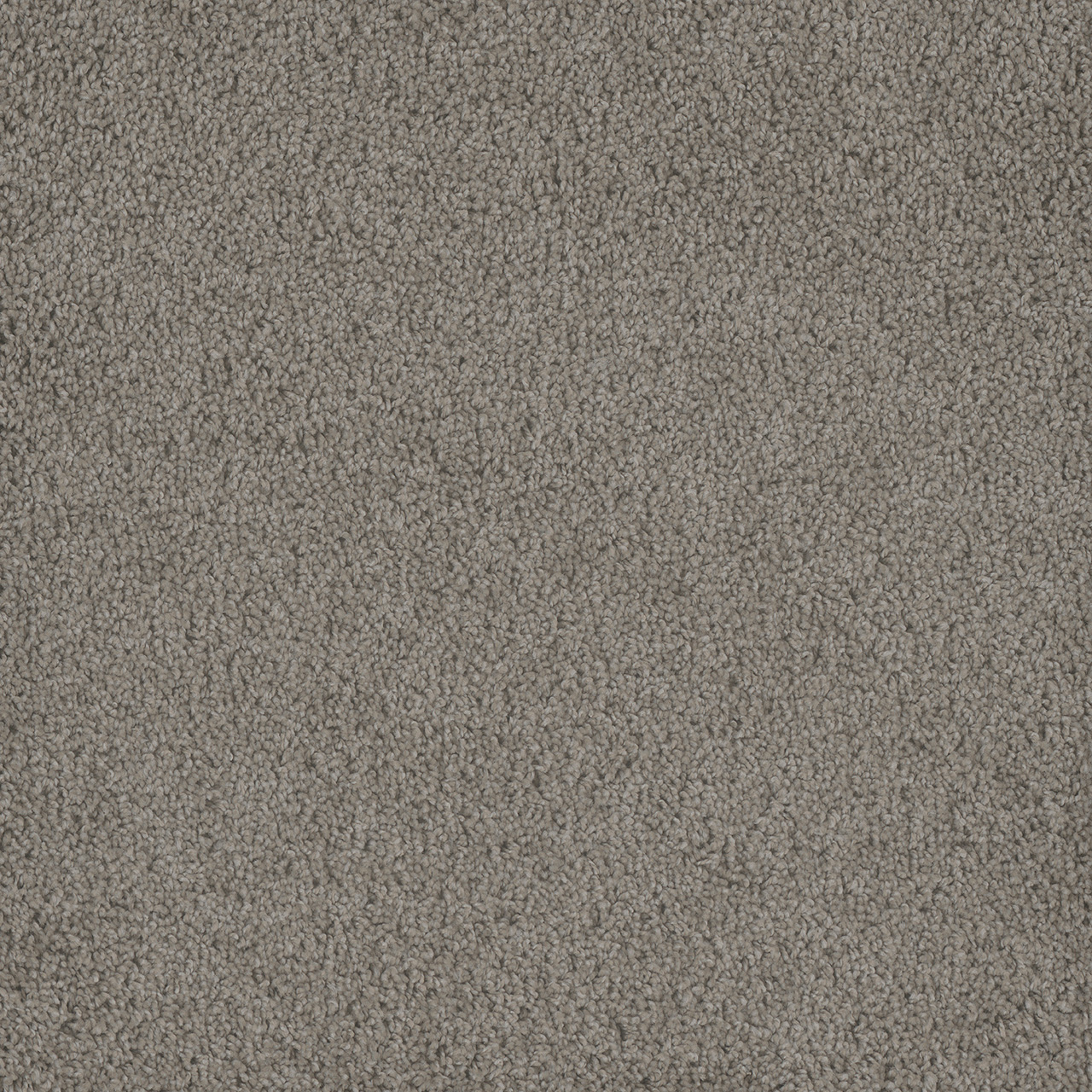 Hammond Creek I | DreamWeaver Carpet Flooring | Engineered Floors