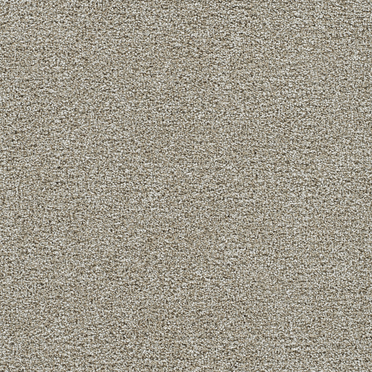 GOLD STANDARD I — Alloy