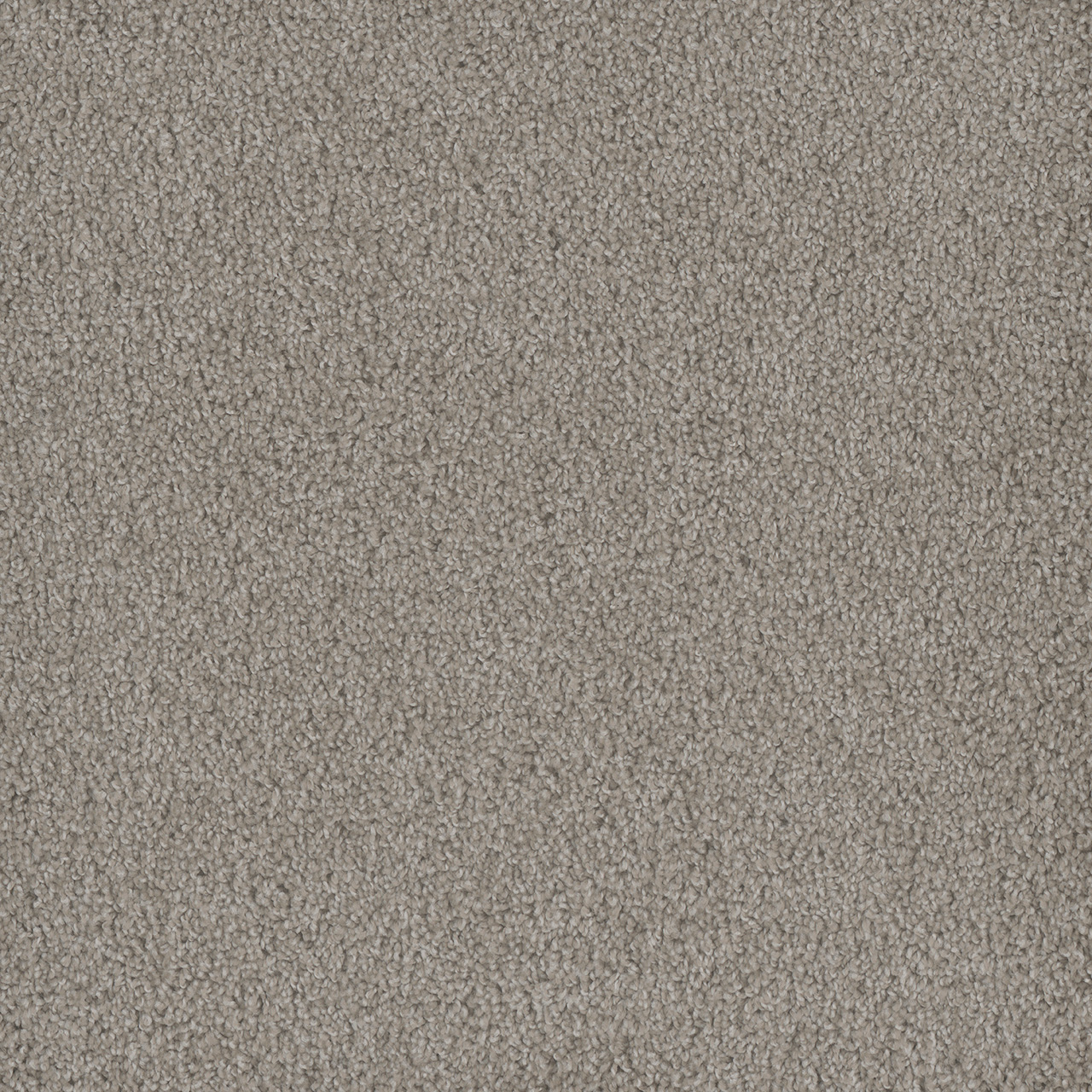 Hammond Creek I | DreamWeaver Carpet Flooring | Engineered Floors