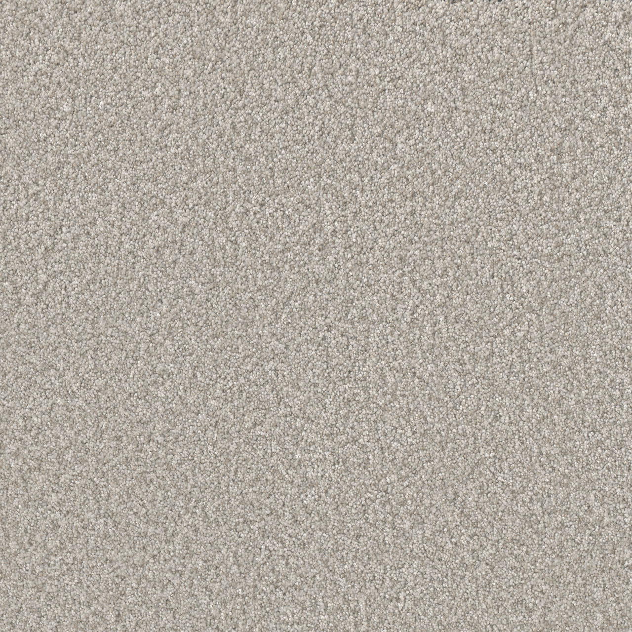 Lucky Penny Iii | DreamWeaver Carpet Flooring | Engineered Floors