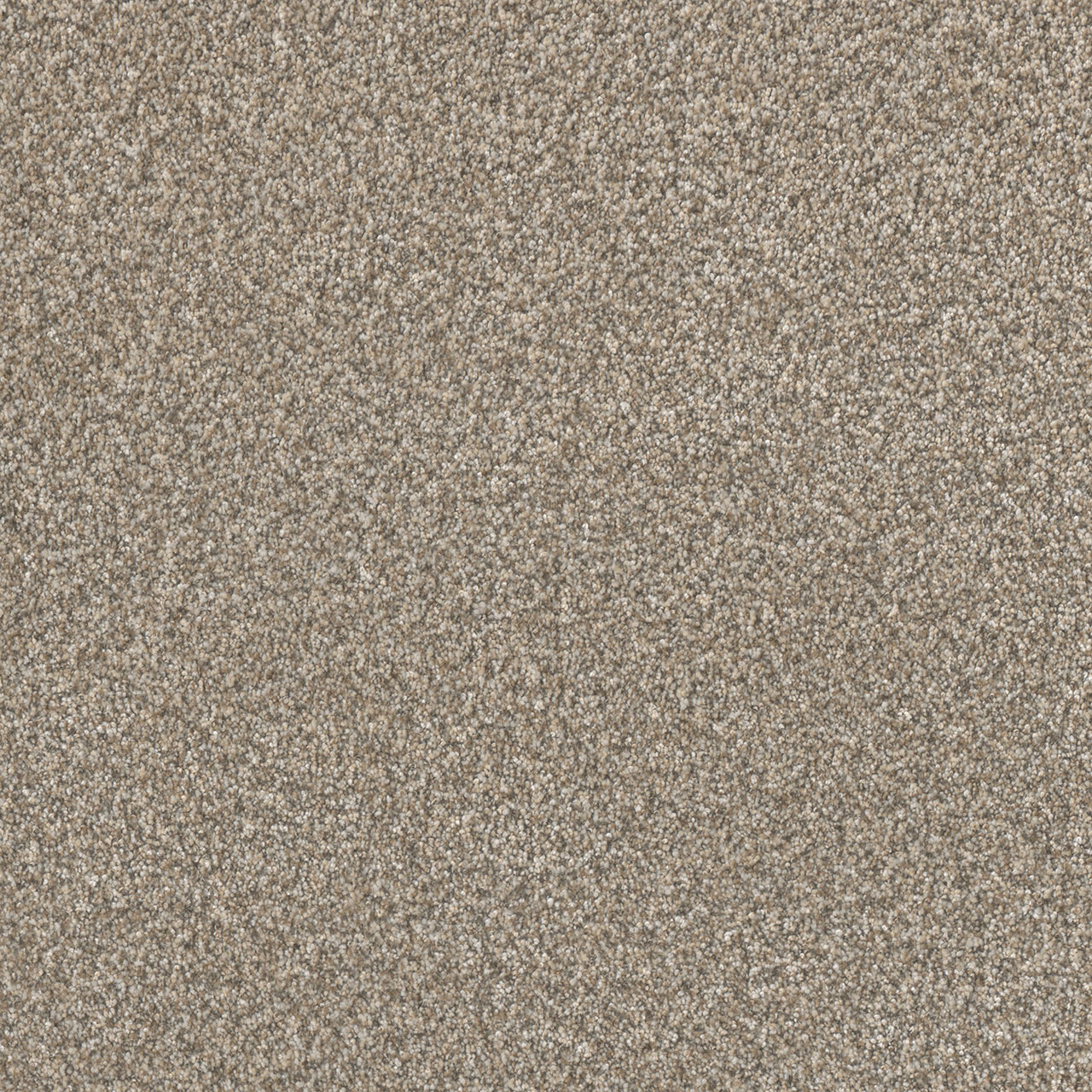 Lucky Penny Ii | DreamWeaver Carpet Flooring | Engineered Floors