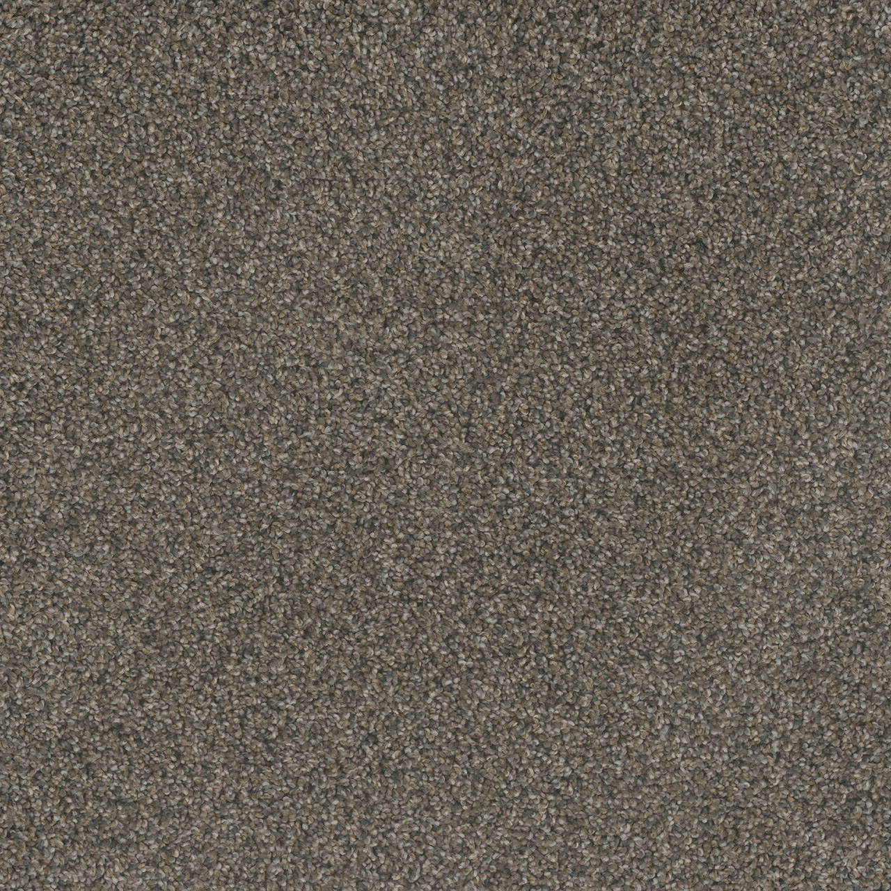 Mill Creek Ii | DreamWeaver Carpet Flooring | Engineered Floors