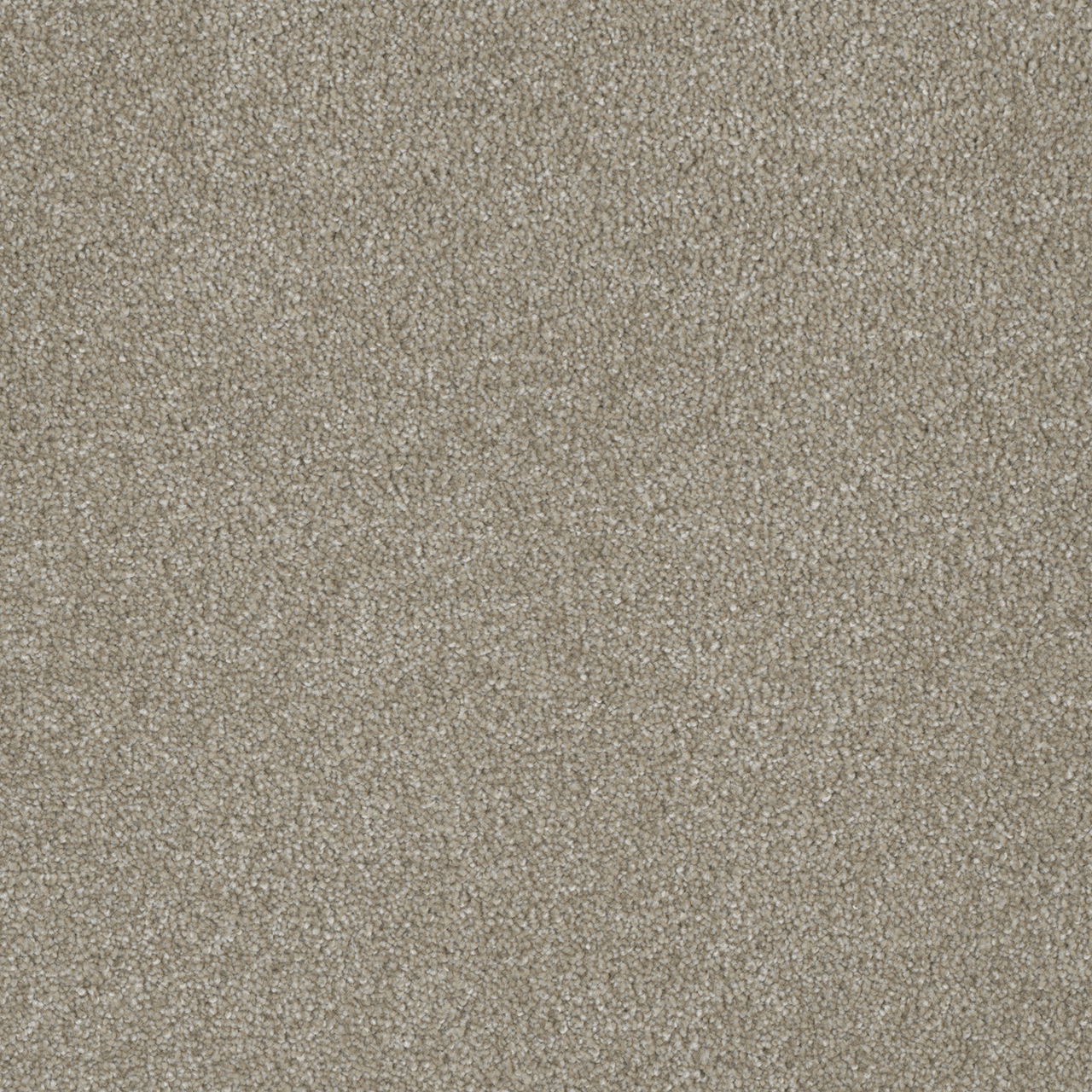 LUXOR I — Cameo