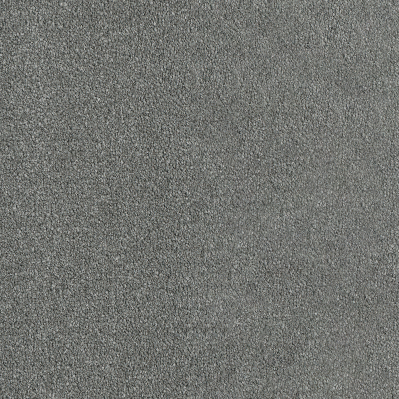 DreamWeaver Luxor I Stellar carpet color detail