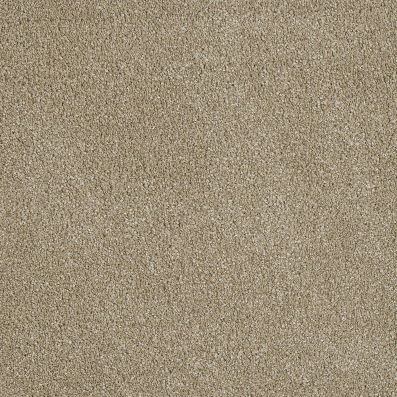 DreamWeaver Luxor I Cashmere carpet color detail