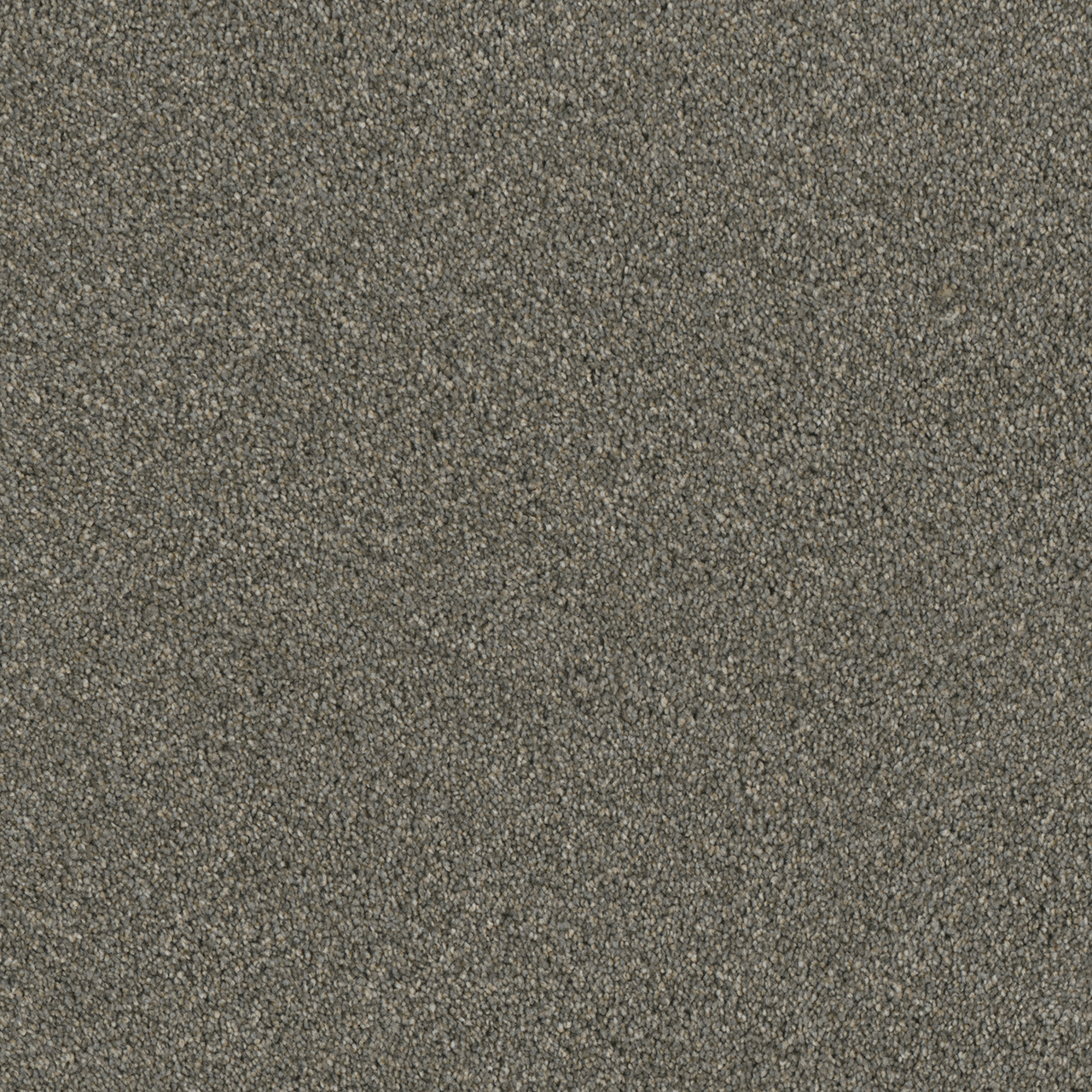 Luxor Iii | DreamWeaver Carpet Flooring | Engineered Floors