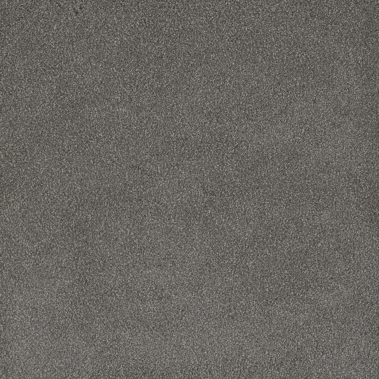 PALMETTO I — Bay Leaf