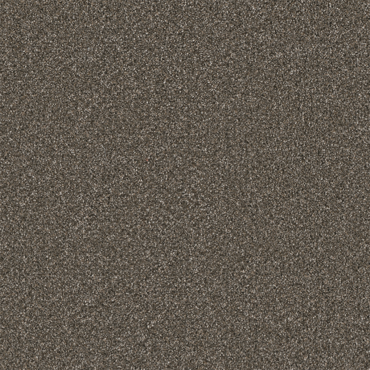 DreamWeaver Royale III — Rugby carpet swatch