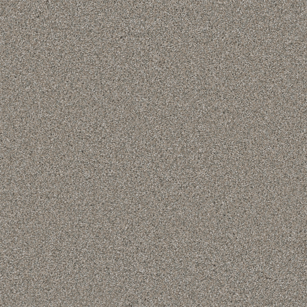 DreamWeaver Royale III — Antique Fresco carpet swatch
