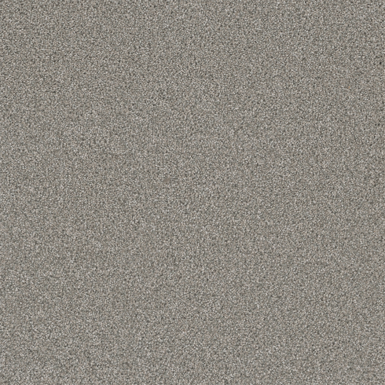 DreamWeaver Royale III — Winterscape carpet swatch