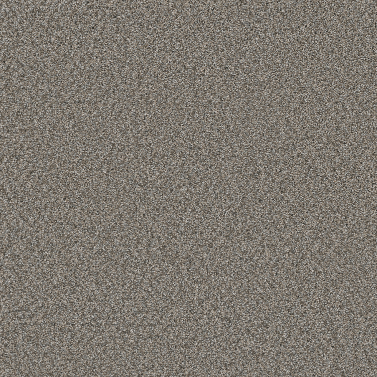 DreamWeaver Royale III — Dogwood carpet swatch