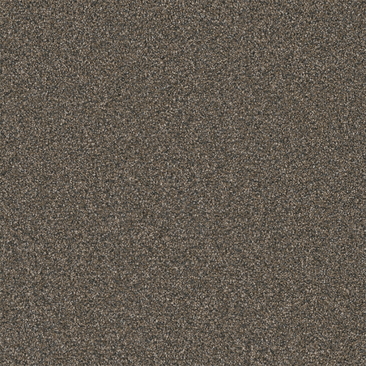 DreamWeaver Royale III — Bordea carpet swatch