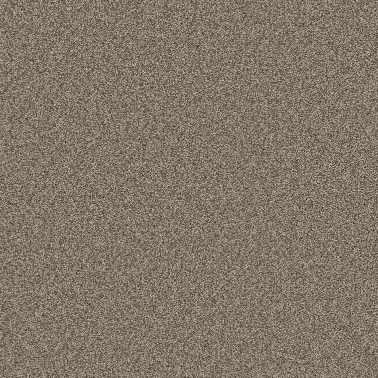 DreamWeaver Royale III — Umber carpet swatch