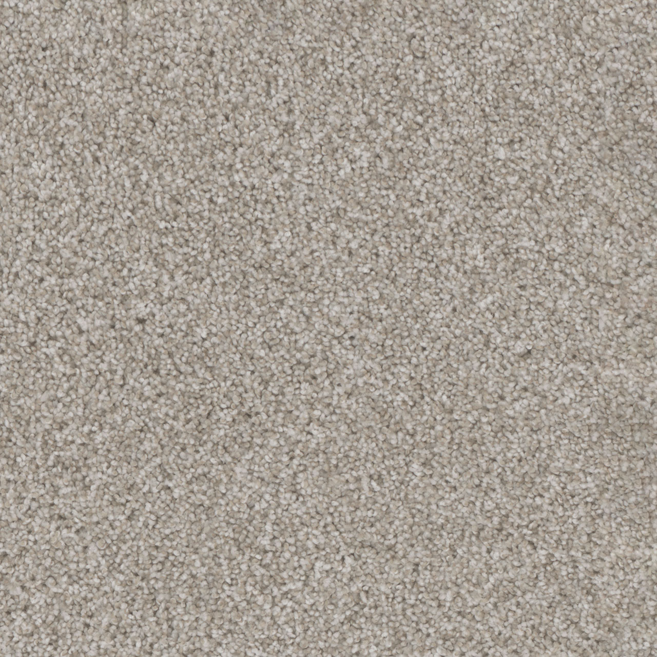 Trendsetter Ii | DreamWeaver Carpet Flooring | Engineered Floors