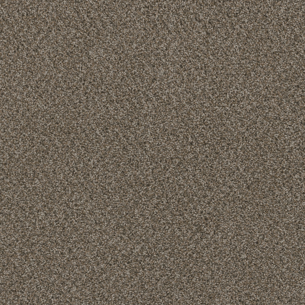 Sp251 | DreamWeaver Carpet Flooring | Engineered Floors