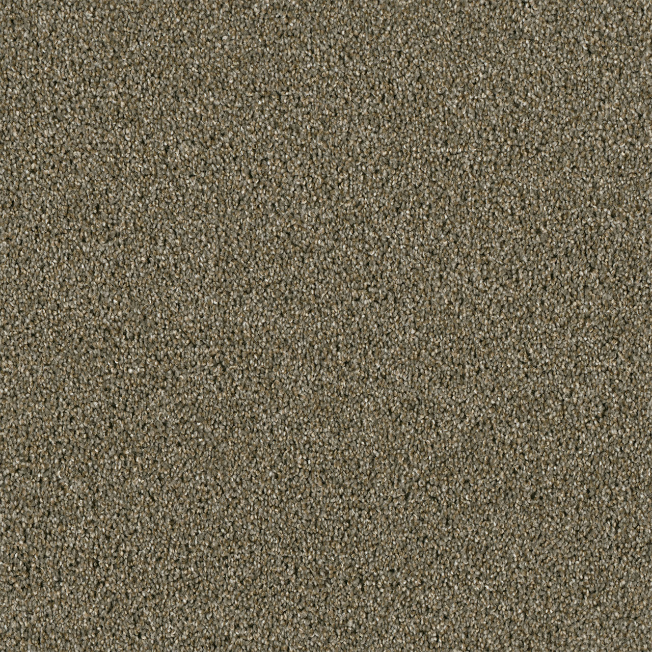 YELLOWSTONE — Cinnamon Tea