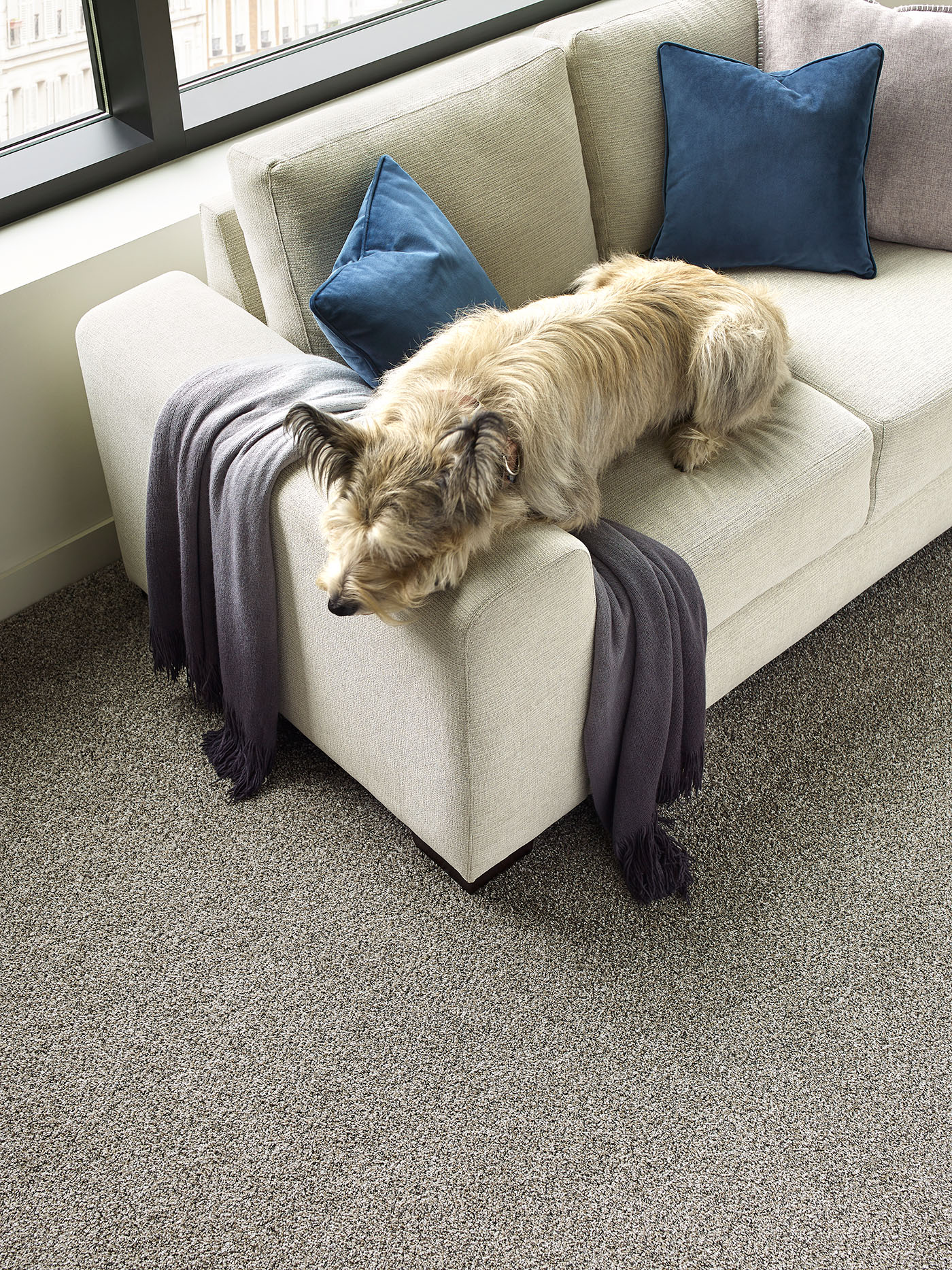 Titan Ii | DreamWeaver Carpet Flooring | Engineered Floors