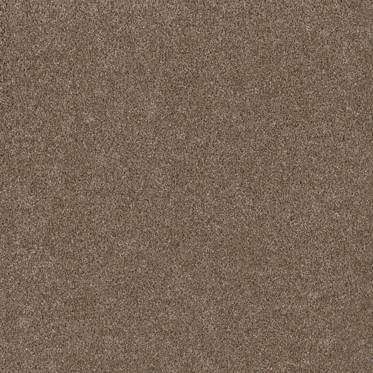 TITAN III — Acorn